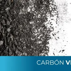 Carbón vegetal para que sirve: trozos y polvo negro sobre fondo blanco. Usos en filtración, medicina y cocina.