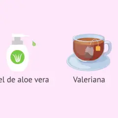 Cúrcuma, gel de aloe vera, valeriana y manzanilla: remedios caseros sequedad vulvar.
