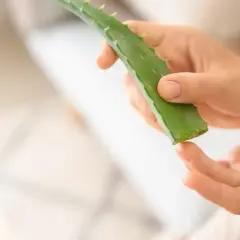 Manos aplicando gel de aloe vera para sequedad vulvar.