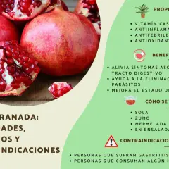 Granada fruta: entera y partida, mostrando sus jugosas semillas rojas. Información sobre sus propiedades, beneficios y cómo consumirla.