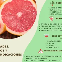 Pomelo: propiedades antioxidantes, nutricionales y digestivas. Ayuda a perder peso y mejora la piel. Se consume fresco, en zumos, salsas y ensaladas.