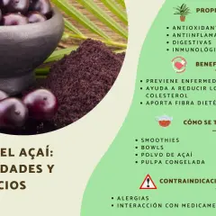 El açaí es una fruta morada con propiedades antioxidantes y antiinflamatorias. Se consume en smoothies, bowls y pulpa congelada.
