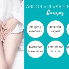 Ardor vulvar: causas como alergias, infecciones, dispareunia, trastornos hormonales, enfermedad de la piel y oxiuros. Busca ardor vulvar remedios caseros.