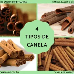 Cuatro tipos de canela: Saigón, Cassia, Ceilán y Korintje. Descubre los beneficios de la canela en tu cocina.