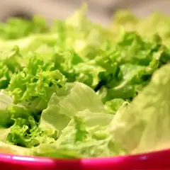 Lechuga fresca y crujiente en un bol rosa, lista para disfrutar de sus propiedades saludables.