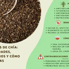 Semillas de chía: propiedades, beneficios y contraindicaciones. Descubre sus usos y precauciones.