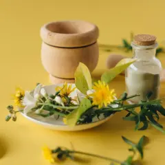 Mortar de madera, flores y hierbas frescas, polvo verde en frasco y frasco de aceite ámbar, listos para crear sinergias de aceites esenciales.