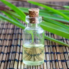 Aceite esencial de citronela en frasco de vidrio, rodeado de hojas verdes. Descubre qué es la citronela y sus usos.