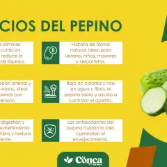 El pepino es bueno para hidratar, eliminar toxinas, regular la presión y mejorar la digestión. ¡Un aliado para tu salud!