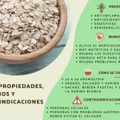 Un tazón de avena, mostrando qué es la avena, sus propiedades, beneficios y cómo se toma.