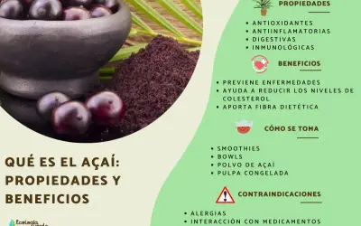El açaí es una fruta morada con propiedades antioxidantes y antiinflamatorias. Se consume en smoothies, bowls y pulpa congelada.