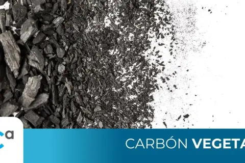 Carbón vegetal para que sirve: trozos y polvo negro sobre fondo blanco. Usos en filtración, medicina y cocina.