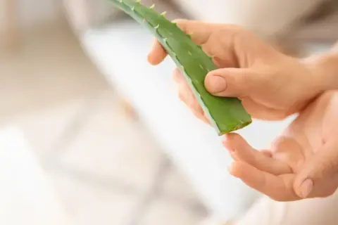 Manos aplicando gel de aloe vera para sequedad vulvar.