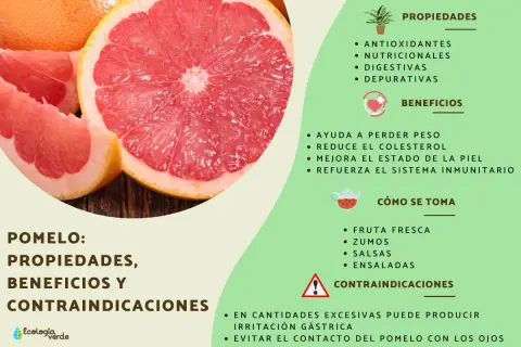 Pomelo: propiedades antioxidantes, nutricionales y digestivas. Ayuda a perder peso y mejora la piel. Se consume fresco, en zumos, salsas y ensaladas.