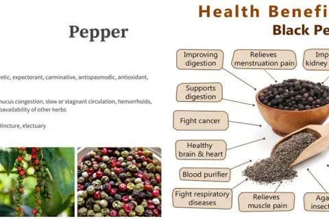 Pimienta negra: propiedades para la salud, desde mejorar la digestión hasta combatir la artritis. Beneficios para el cerebro, corazón y piel.