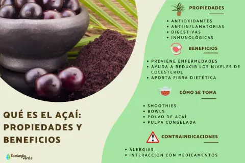 El açaí es una fruta morada con propiedades antioxidantes y antiinflamatorias. Se consume en smoothies, bowls y pulpa congelada.