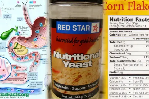 Levadura nutricional Red Star, fuente de vitamina B12. Ideal para vegetarianos.