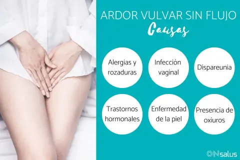 Ardor vulvar: causas como alergias, infecciones, dispareunia, trastornos hormonales, enfermedad de la piel y oxiuros. Busca ardor vulvar remedios caseros.