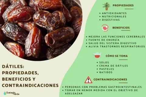 Dátiles: propiedades, beneficios y contraindicaciones. ¿Cuántos dátiles se pueden comer al día? Son fuente de energía y buenos para la digestión.