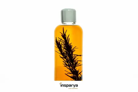 Aceite capilar con romero. Descubre cómo la ronquina es buena para el pelo, fortaleciéndolo y dándole brillo.