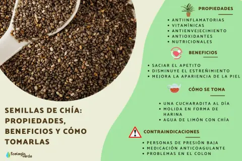 Semillas de chía: propiedades, beneficios y contraindicaciones. Descubre sus usos y precauciones.