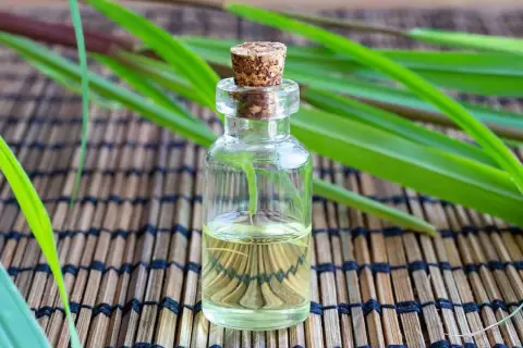 Aceite esencial de citronela en frasco de vidrio, rodeado de hojas verdes. Descubre qué es la citronela y sus usos.
