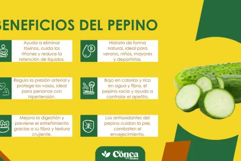 El pepino es bueno para hidratar, eliminar toxinas, regular la presión y mejorar la digestión. ¡Un aliado para tu salud!