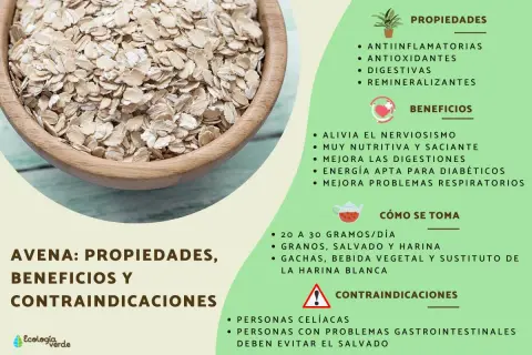 Un tazón de avena, mostrando qué es la avena, sus propiedades, beneficios y cómo se toma.