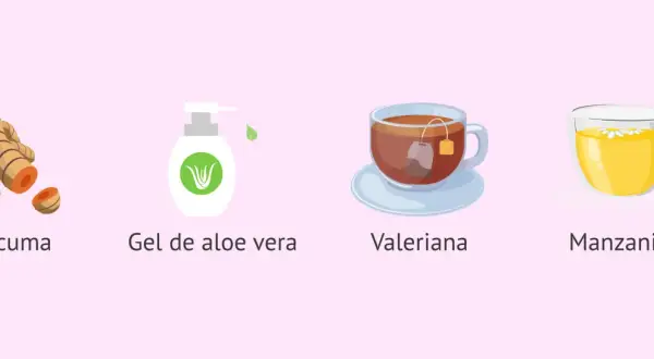 Cúrcuma, gel de aloe vera, valeriana y manzanilla: remedios caseros sequedad vulvar.