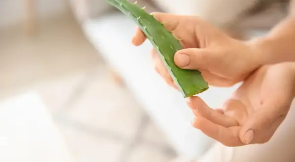 Manos aplicando gel de aloe vera para sequedad vulvar.