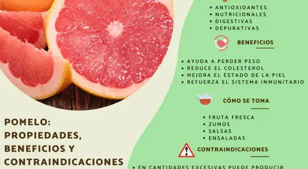 Pomelo: propiedades antioxidantes, nutricionales y digestivas. Ayuda a perder peso y mejora la piel. Se consume fresco, en zumos, salsas y ensaladas.