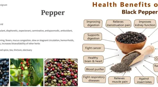 Pimienta negra: propiedades para la salud, desde mejorar la digestión hasta combatir la artritis. Beneficios para el cerebro, corazón y piel.