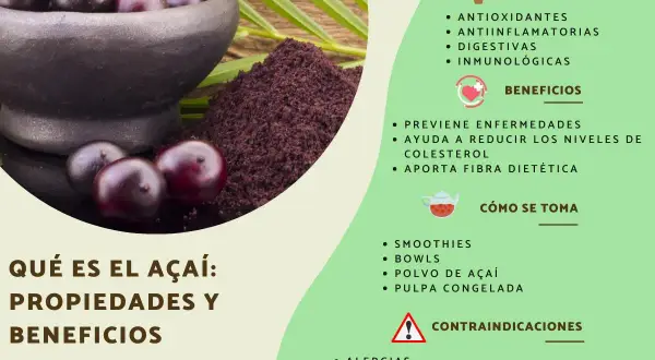 El açaí es una fruta morada con propiedades antioxidantes y antiinflamatorias. Se consume en smoothies, bowls y pulpa congelada.