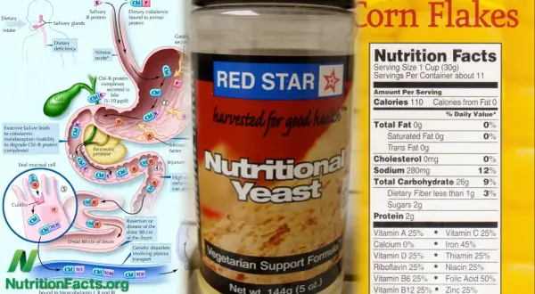 Levadura nutricional Red Star, fuente de vitamina B12. Ideal para vegetarianos.