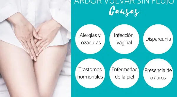 Ardor vulvar: causas como alergias, infecciones, dispareunia, trastornos hormonales, enfermedad de la piel y oxiuros. Busca ardor vulvar remedios caseros.