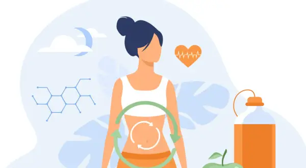 Mujer con símbolo de ciclo en abdomen, representando los tipos de metabolismo. Incluye pesas, manzana, botella y gráfico de ritmo cardíaco.