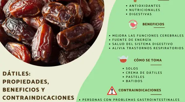 Dátiles: propiedades, beneficios y contraindicaciones. ¿Cuántos dátiles se pueden comer al día? Son fuente de energía y buenos para la digestión.