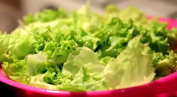Lechuga fresca y crujiente en un bol rosa, lista para disfrutar de sus propiedades saludables.