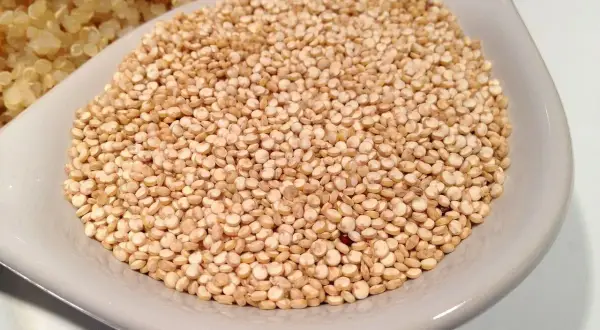 Un tazón de quinoa cruda, lista para cocinar y aprovechar sus increíbles propiedades nutricionales.