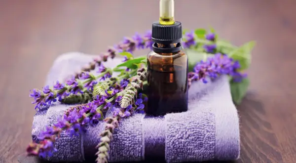 Frasco de aceite esencial de salvia con flores moradas sobre toalla. Descubre las maravillosas aceite de salvia propiedades para tu bienestar.