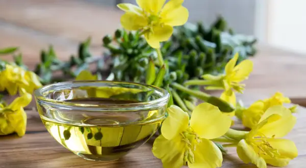 Aceite de onagra en un cuenco de cristal, rodeado de flores amarillas. Ideal para la dosis de menopausia.