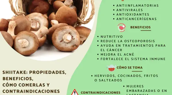 Hongos shiitake en una cesta, destacando sus propiedades antiinflamatorias, antivirales y anticancerígenas. Beneficios y cómo consumirlos.