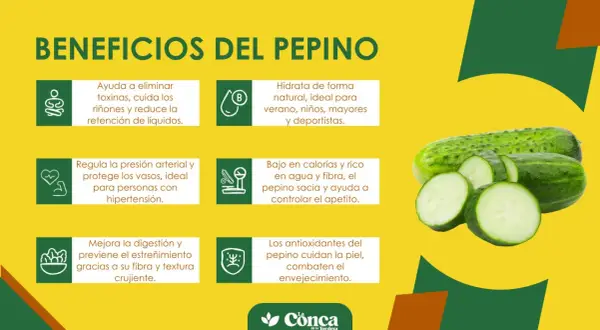 El pepino es bueno para hidratar, eliminar toxinas, regular la presión y mejorar la digestión. ¡Un aliado para tu salud!