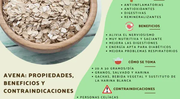 Un tazón de avena, mostrando qué es la avena, sus propiedades, beneficios y cómo se toma.