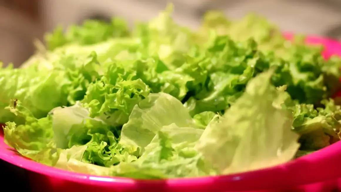 Lechuga fresca y crujiente en un bol rosa, lista para disfrutar de sus propiedades saludables.
