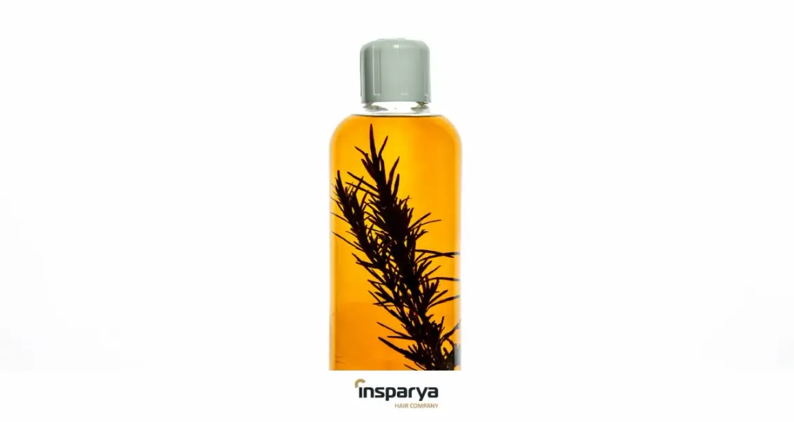 Aceite capilar con romero. Descubre cómo la ronquina es buena para el pelo, fortaleciéndolo y dándole brillo.
