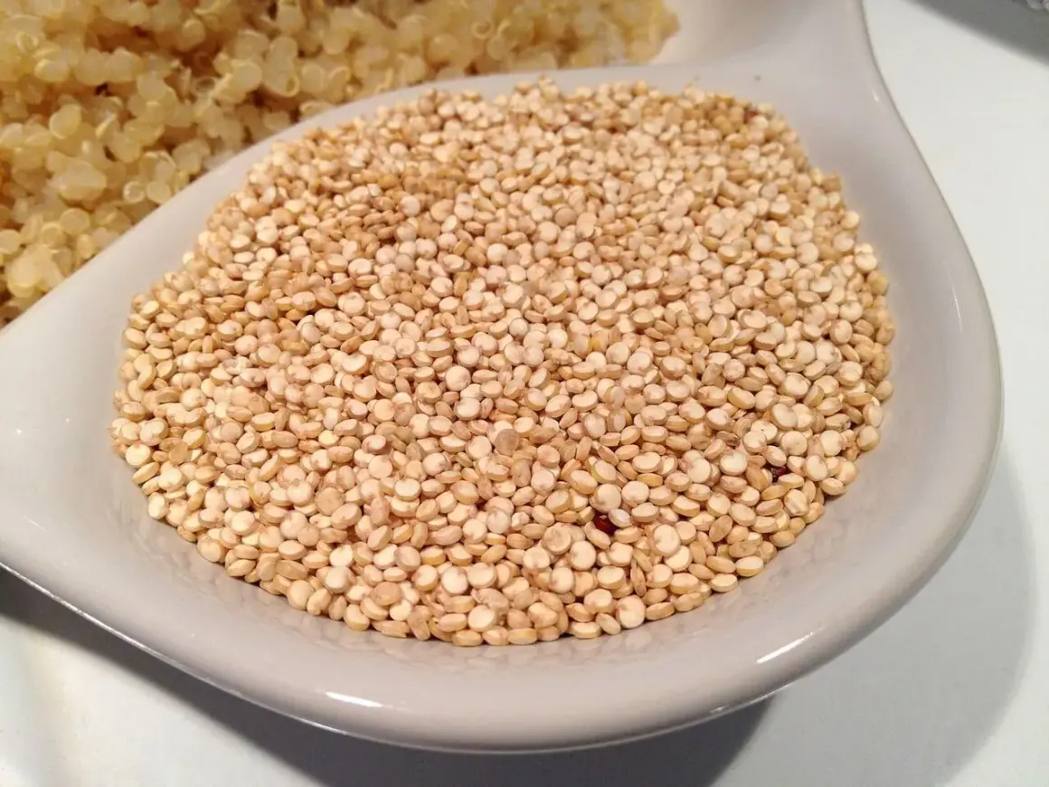 Un tazón de quinoa cruda, lista para cocinar y aprovechar sus increíbles propiedades nutricionales.