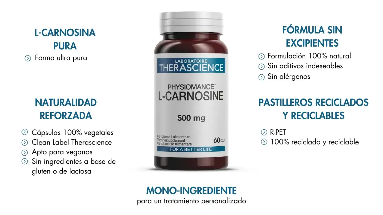 L-carnosina - ¿Para qué sirve realmente? Guía completa