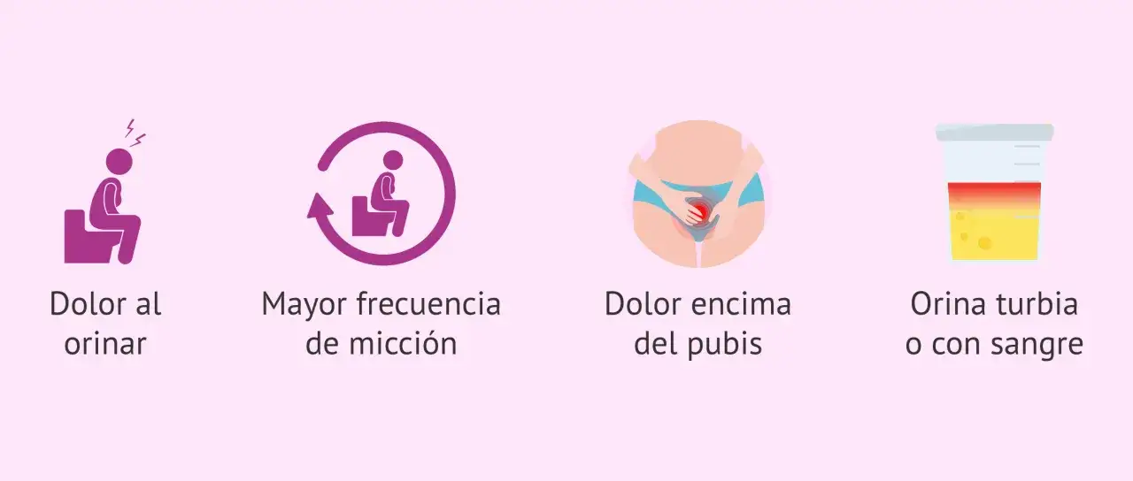 S&iacute;ntomas de cistitis: dolor al orinar, mayor frecuencia, dolor p&eacute;lvico y orina turbia. No es contagiosa.