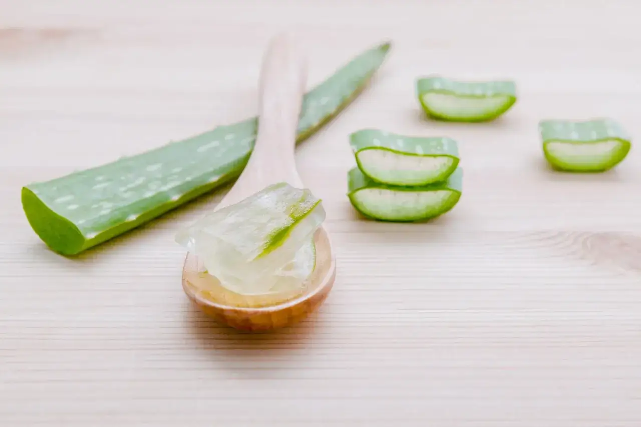Aloe vera, un remedio casero para la sequedad vulvar. Gel fresco en cuchara y rodajas sobre madera.